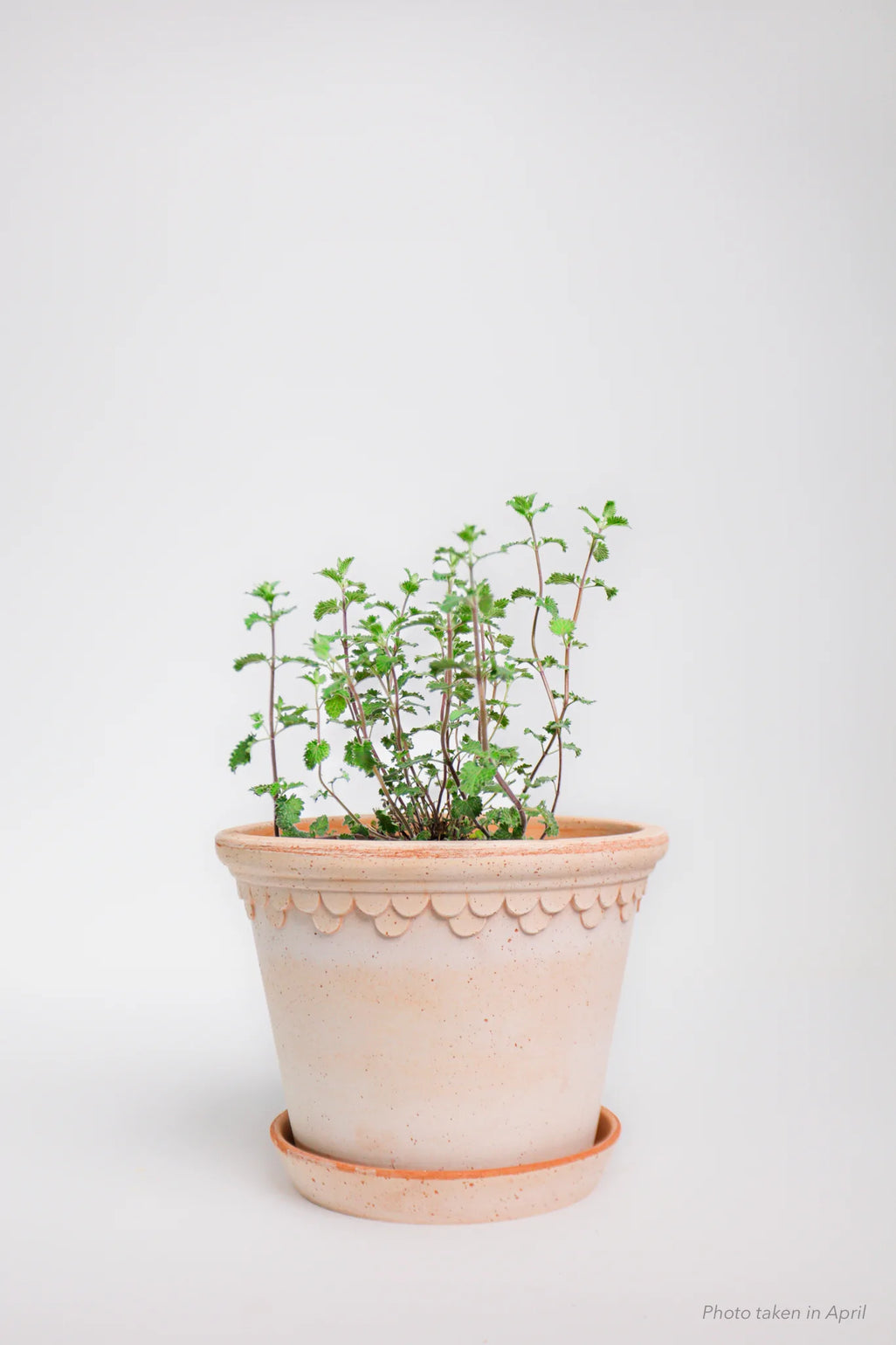 products/SotoProductShootLowQ-2025.webp